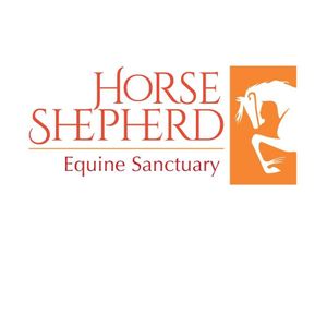Horse Shepherd Equine Sanctuary