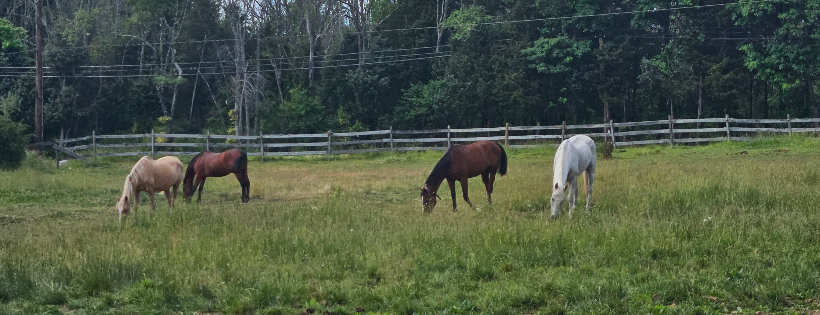 Baling Twine and Hope