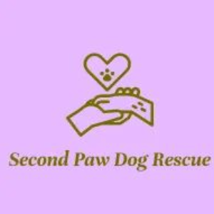 Second Paw Dog Rescue