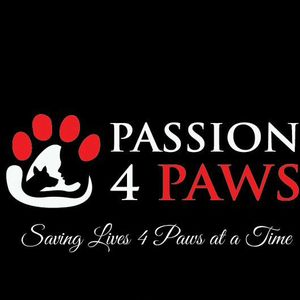 Passion 4 Paws Logo