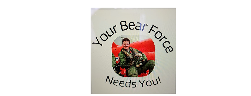 Bear Force