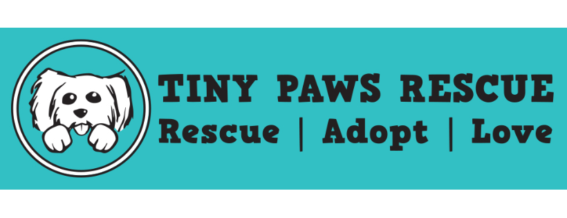 Tiny Paws Rescue Inc