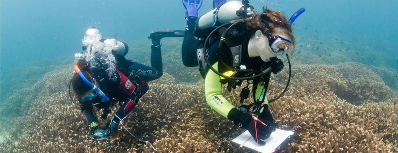 Reef Check Australia