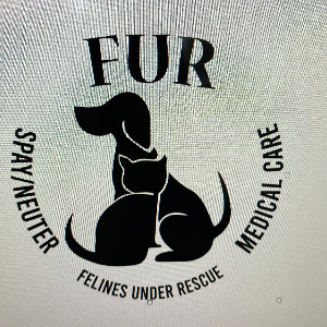 Felines Under Rescue (FUR) Logo