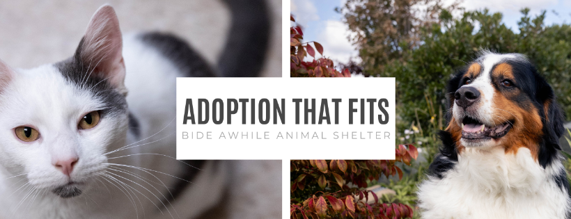 Bide Awhile Animal Shelter Society