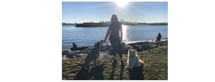 Home At Last Dog Rescue BC