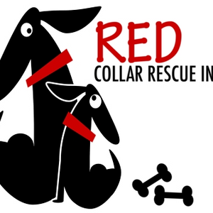 Red Collar Rescue Incorporated Logo