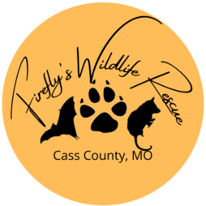 Firefly's Wildlife Rescue Logo