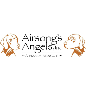 Airsongs Angels, Inc Logo