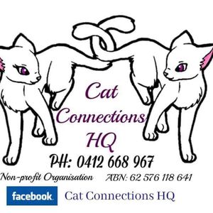 Cat Connections HQ Logo