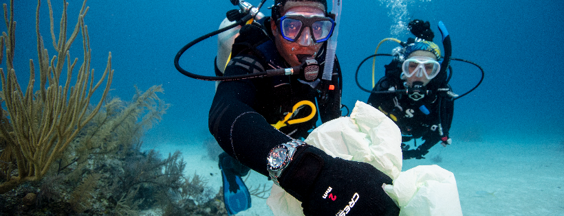 PADI AWARE Foundation