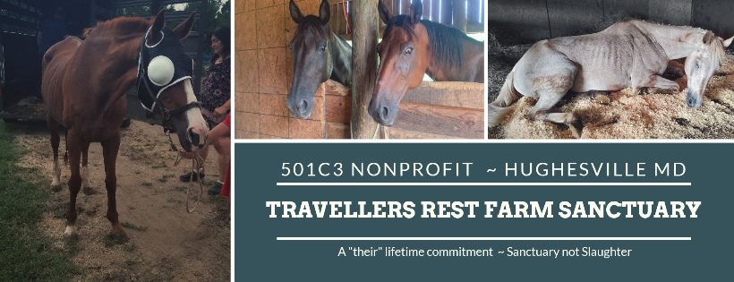 Travellers Rest Farm Sanctuary