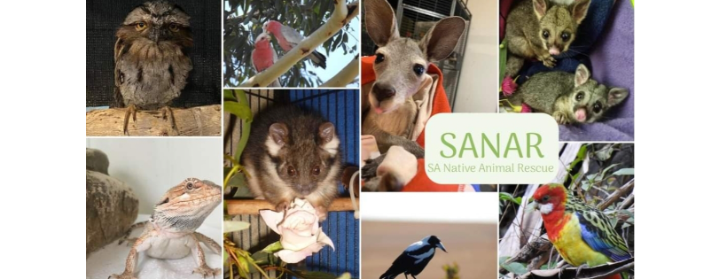 S.A. Native Animal Rescue (SANAR) Inc