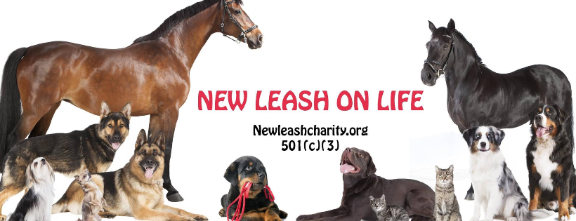 New Leash On Life