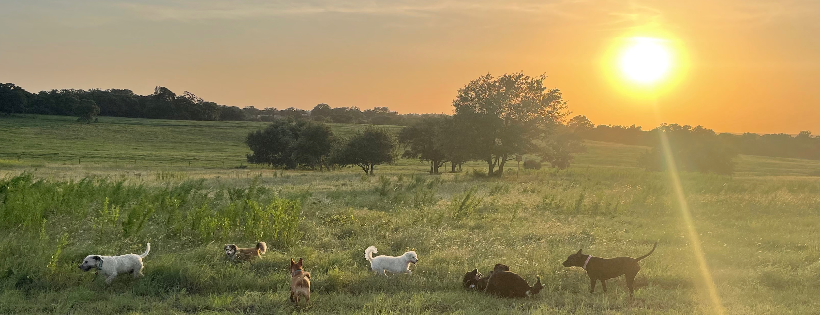 Robbins Rescue  Ranch, Inc.