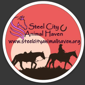 Steel City Animal Haven Logo