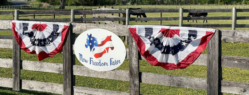 NEW FREEDOM FARM INC