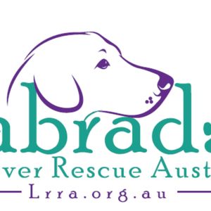 Labrador Retriever Rescue Australia Logo