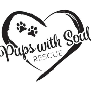 Pups with soul rescue foundation