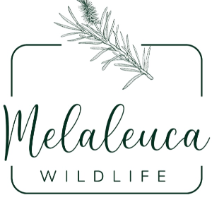 Melaleuca Wildlife Shelter