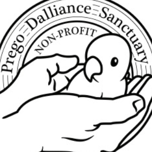 prego dalliance sanctuary, corps Logo