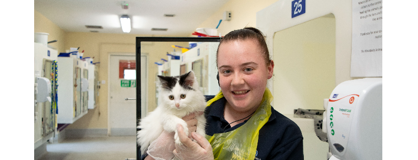 RSPCA - LEICESTERSHIRE, Peterborough and Rutland (WOODSIDE ANIMAL CENTRE)