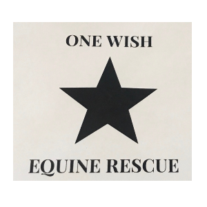 One wish Equine Rescue