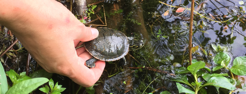 Wildlife Preservation Canada