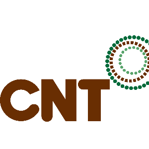Center for Neighborhood Technology Logo