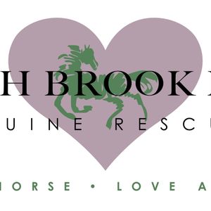 Beech Brook Farm Equine Rescue