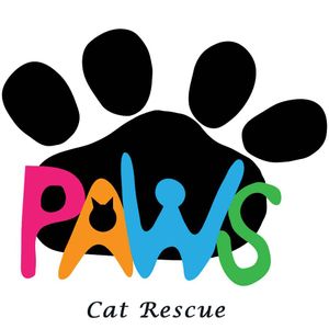 Paws Cat Rescue