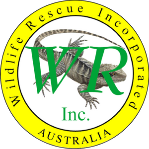 Wildlife Rescue Incorporated