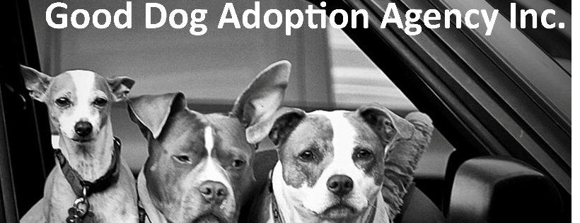 Good Dog Adoption Agency, Inc.