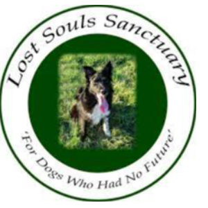 Lost Souls Sanctuary Logo