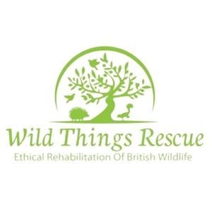 Wild Things Rescue Logo