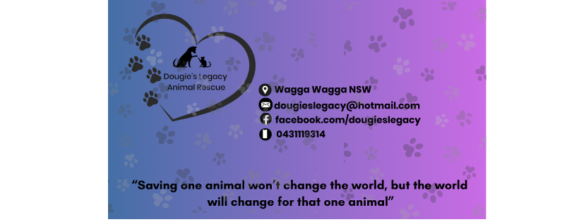 Dougie’s Legacy Animal Rescue