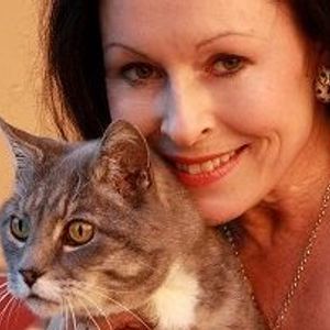 The New Zealand Cat Foundation Logo