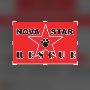 NOVASTAR Rescue Logo
