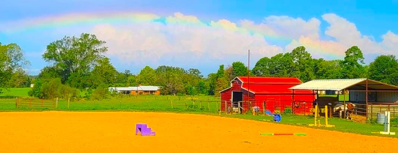 GRIT Therapeutic Horsemanship