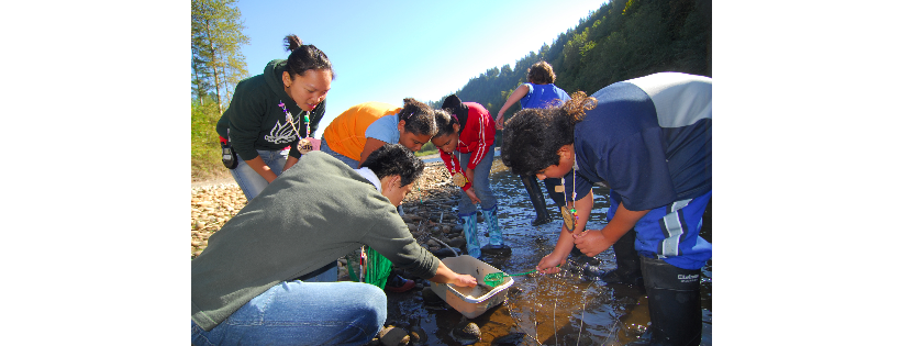 Friends of Outdoor School