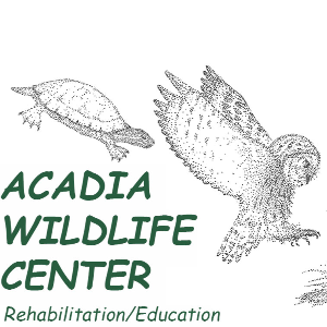 Acadia Wildlife Center Logo