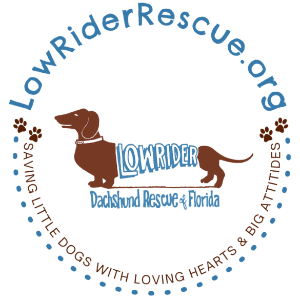 Low Rider Dachshund Rescue of FL, INC Logo