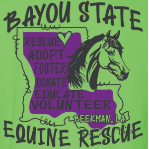 Bayou State Equine Rescue Logo
