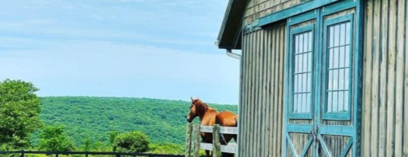 Topfield Equestrian Center