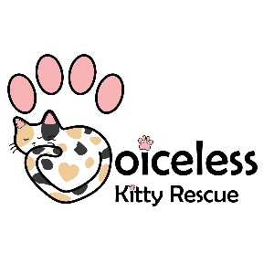 Voiceless Kitty Rescue
