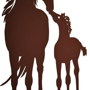 Pregnant Mare Rescue