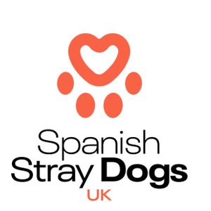 Spanish Stray Dogs UK