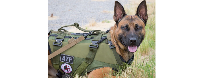 Spike's K9 Fund