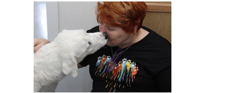 Humane Society of Cedar Creek Lake