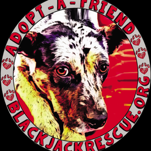Blackjack Animal Rescue Logo